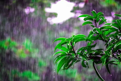 讀幾首詩詞,激勵我們前行
